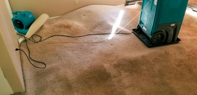 Carpet Removal