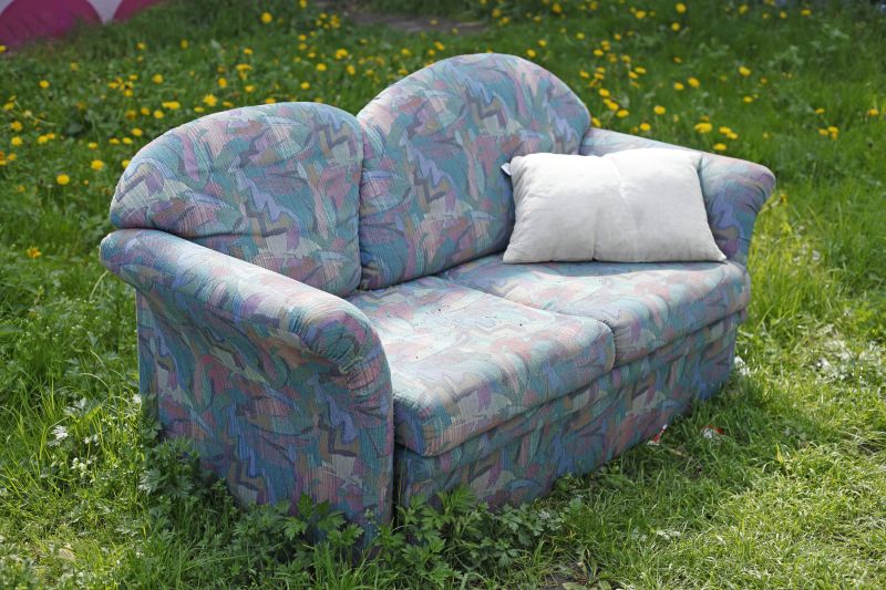 Sofa Bed Removal in Auburn, CA