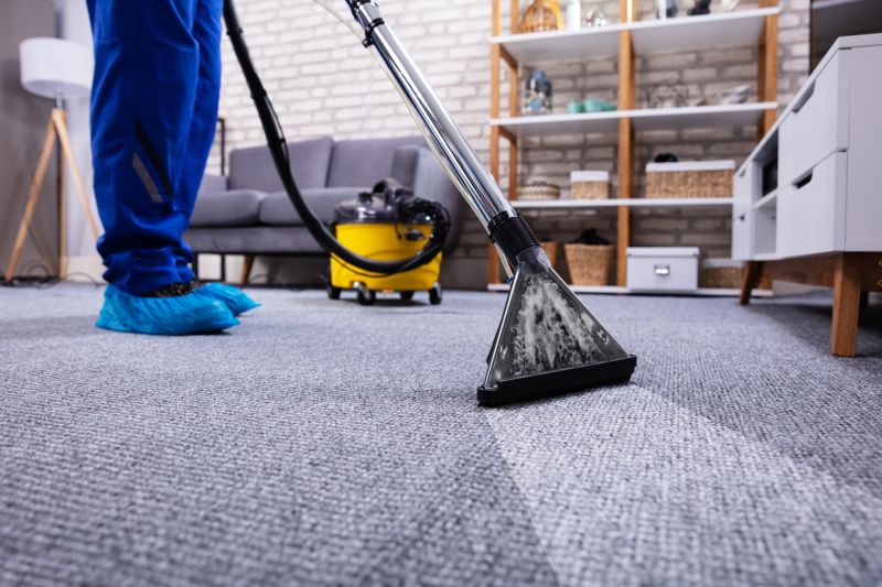 Professional Carpet Removal Companies